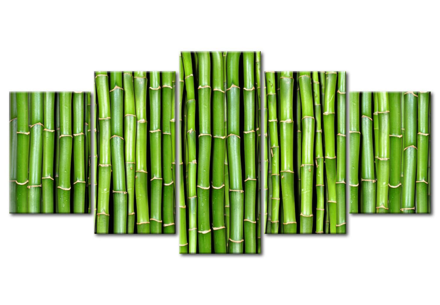 Cuadro La armonía y simplicidad de bambú
