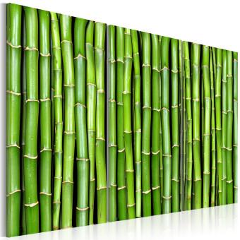 Cuadro moderno Bambú Verde - Tríptico asiático lleno de plantas orientales