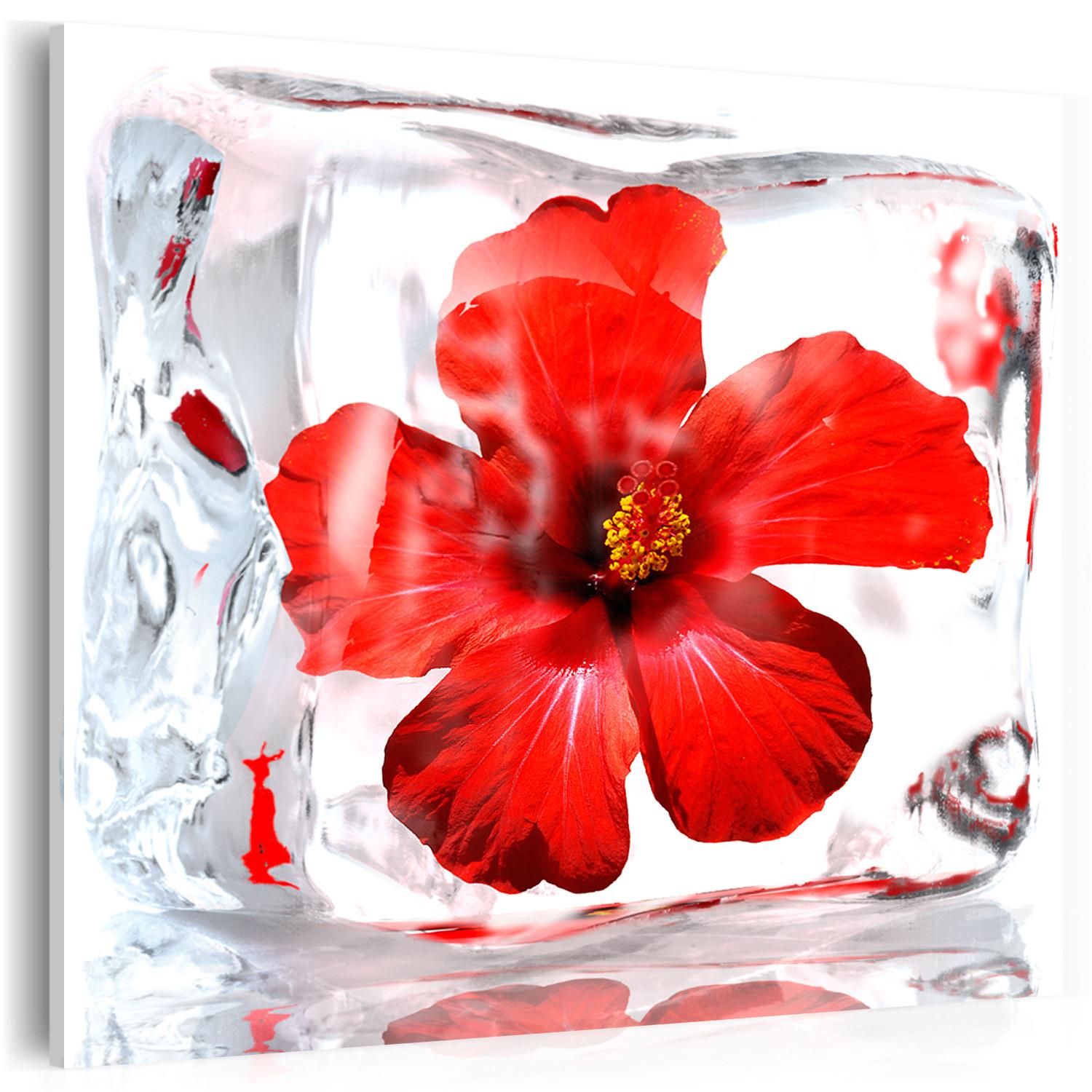 Cuadro decorativo Frozen flower