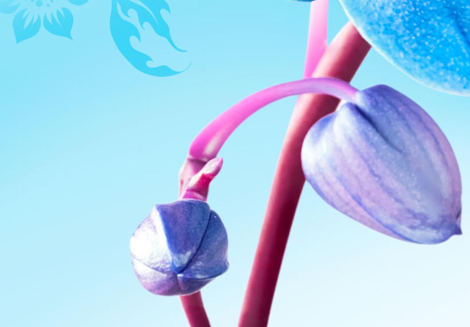 Cuadro decorativo Orquídea sutil - azul