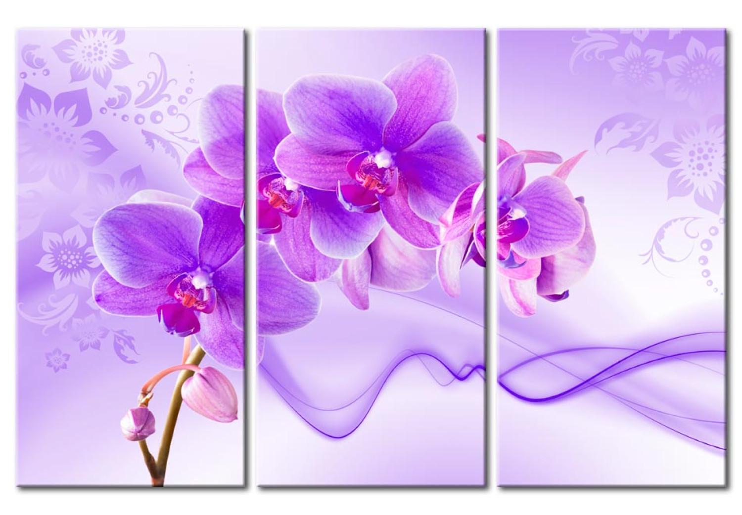 Cuadro Orquídea sutil - violeta
