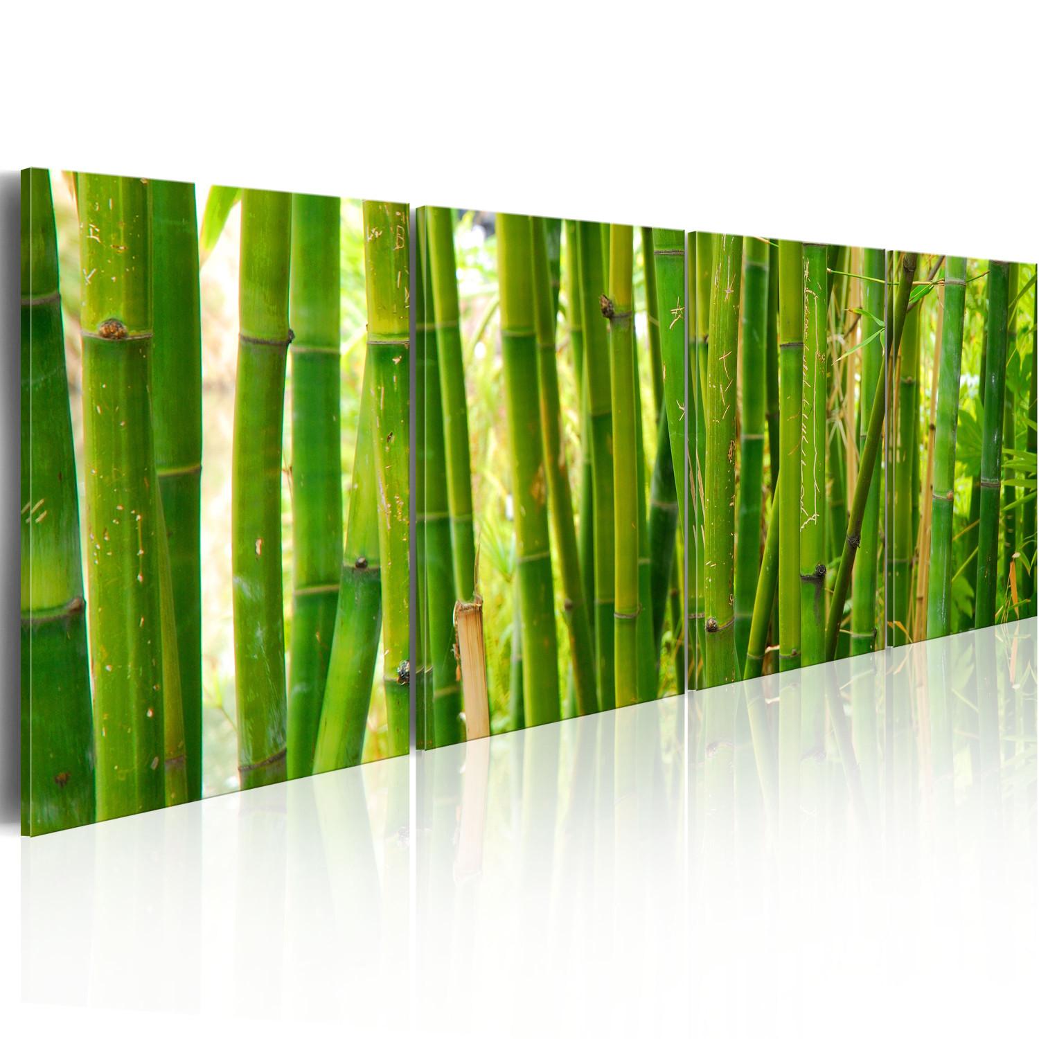 Cuadro moderno Cama de bambú