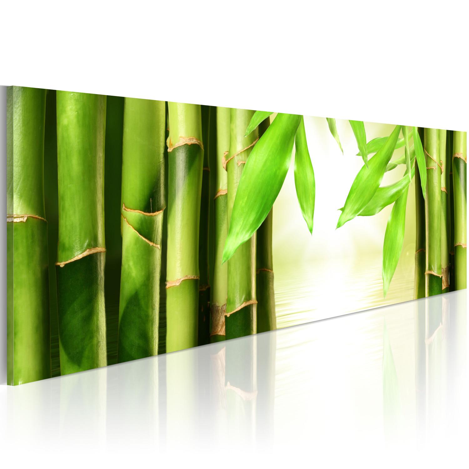 Cuadro moderno Bamboo gate