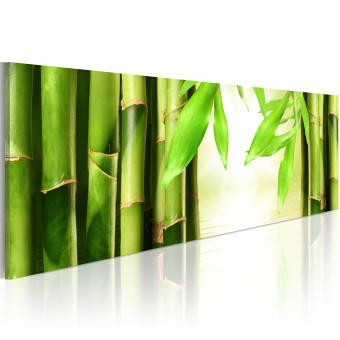 Cuadro moderno Bamboo gate