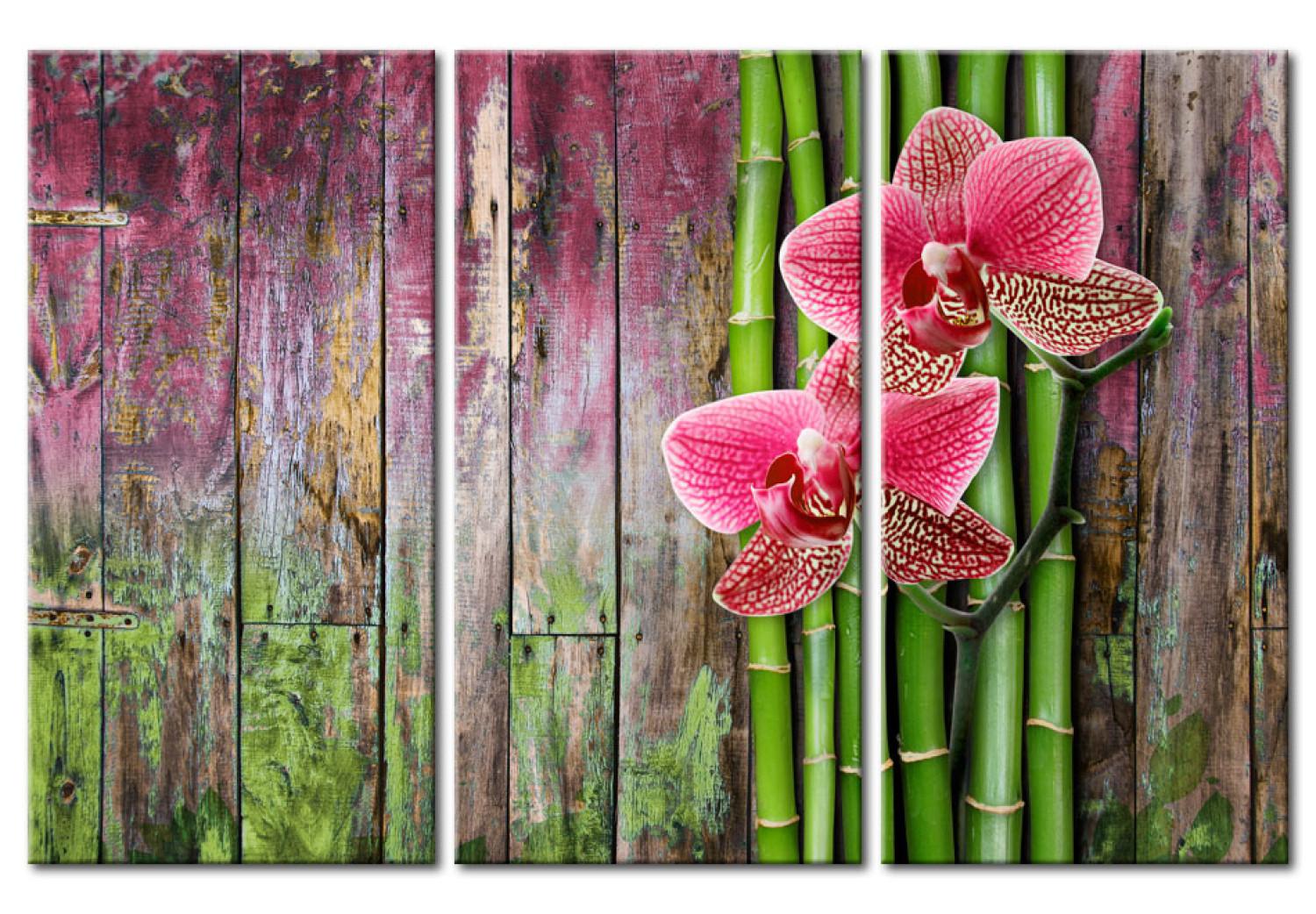Cuadro moderno Flor y bambú