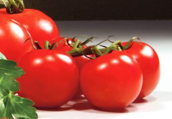 Cuadro moderno Pimientos y tomates