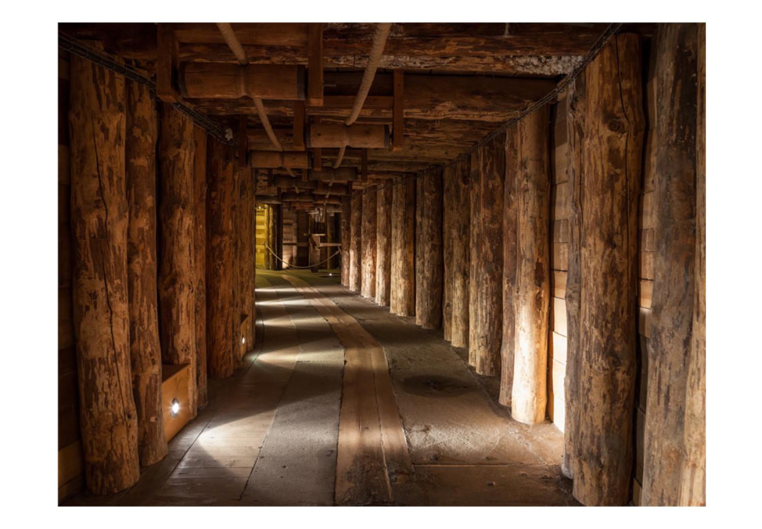 Fotomural Wooden passage
