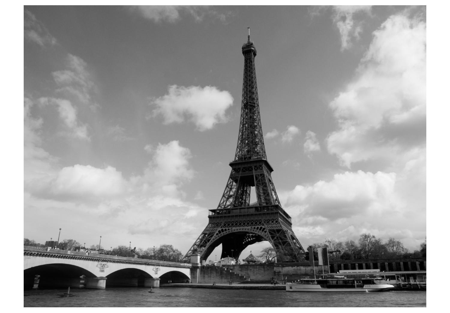 Fotomural a medida Arquitectura de París - Sena fluyendo junto a la Torre Eiffel