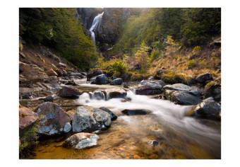 Fotomural Ohakune - Waterfalls in New Zealand