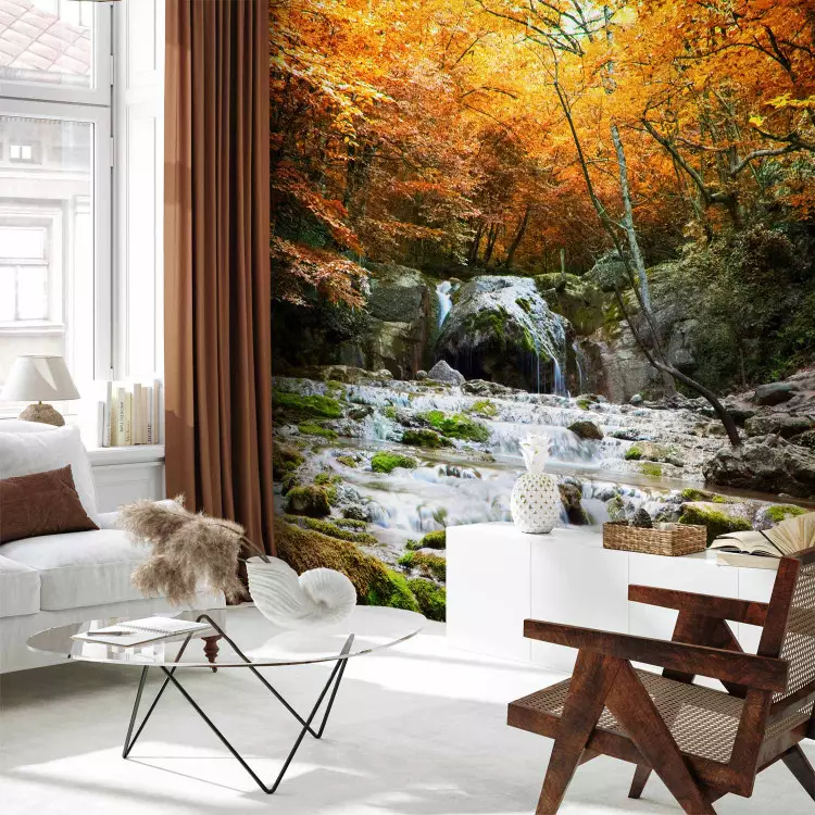 Fotomural decorativo Cascadas - paisaje de río rocoso en medio de un bosque otoñal