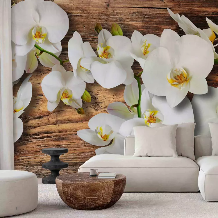 Fotomural a medida Composición vegetal con madera - orquídeas sobre madera