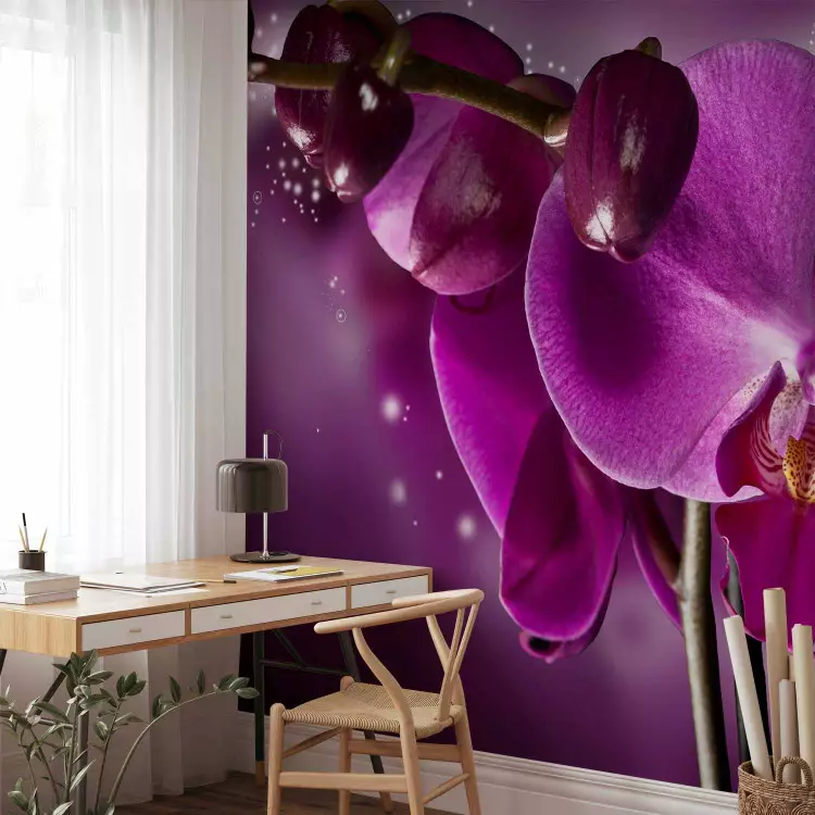 Fotomural a medida Cuento de orquídeas - fantasía floral en tonos morados
