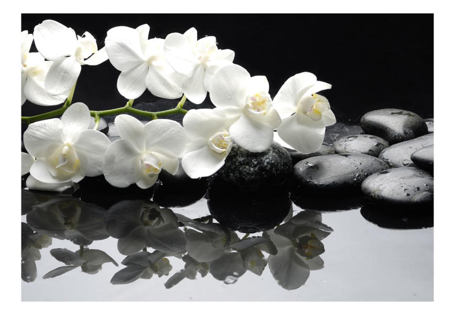 Fotomural a medida SPA, piedras y orquídeas - motivos florales naturales en negro