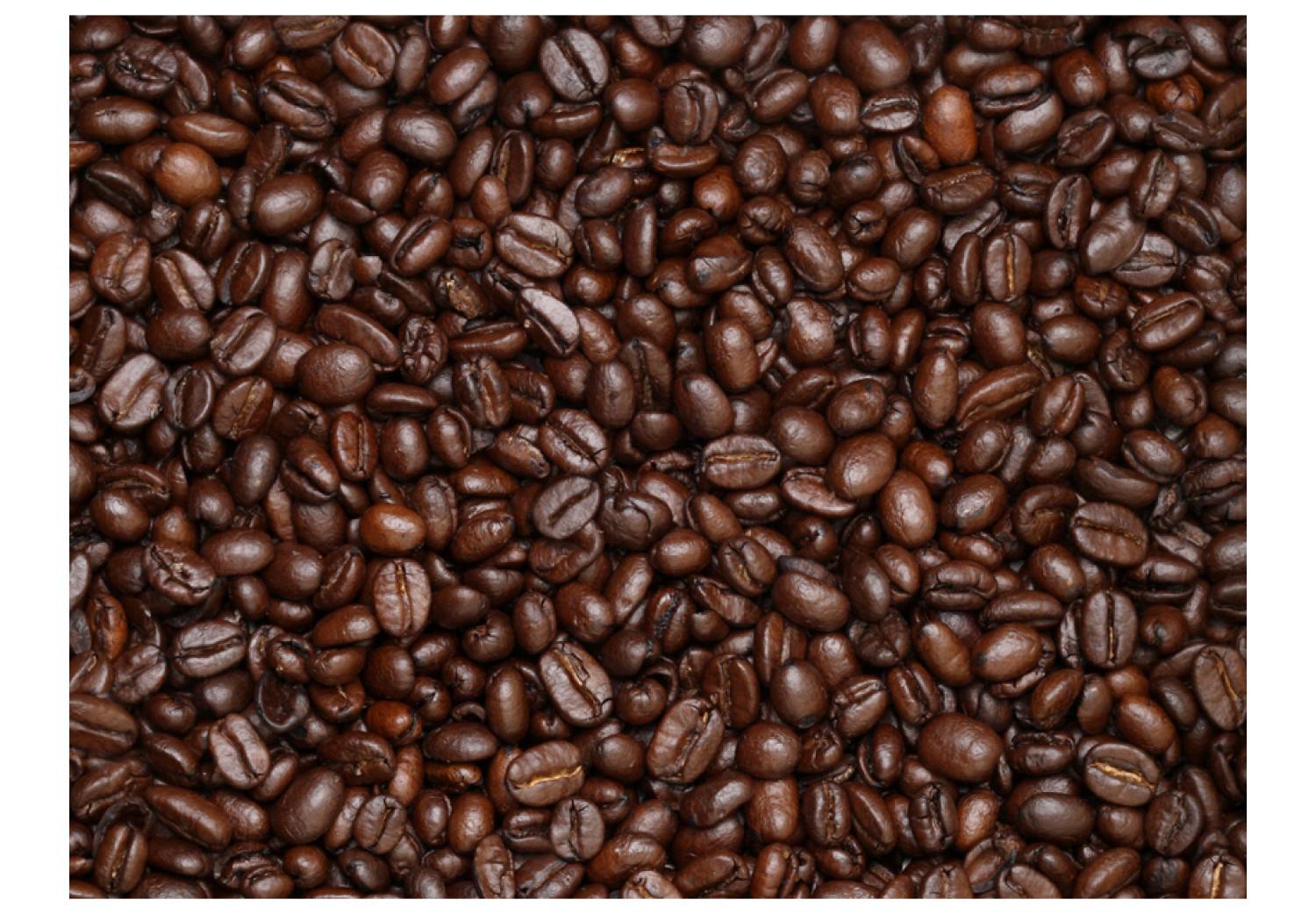 Fotomural a medida Granos de café - motivo de granos de café para cocina o comedor