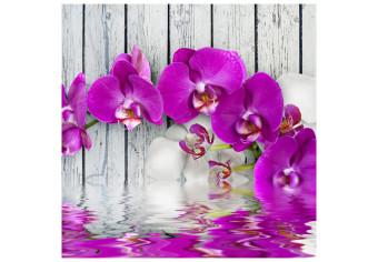 Fotomural a medida Violet orchids with water reflexion