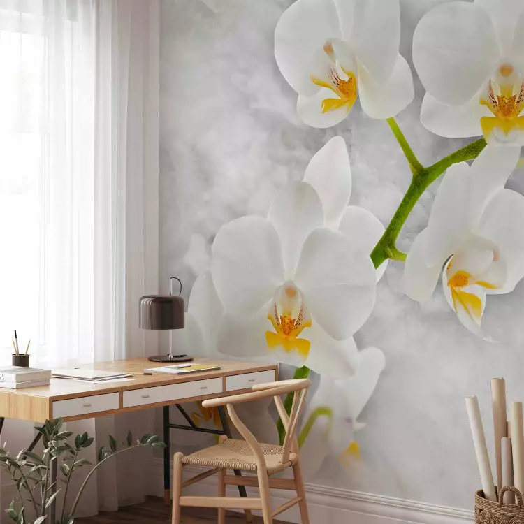 Fotomural a medida Orquídea lírica - motivo floral claro en blanco con elementos verdes