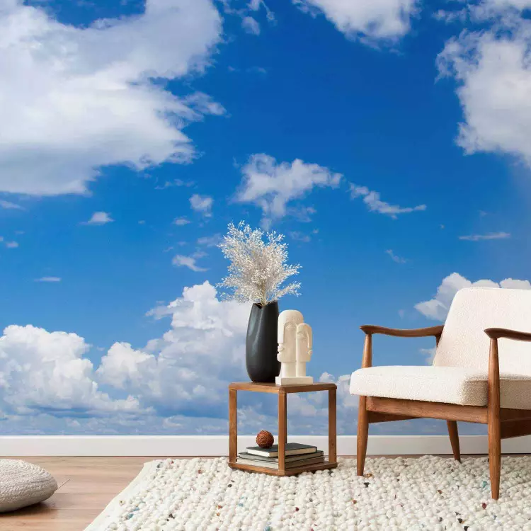 Fotomural decorativo Bajo el cielo despejado - paisaje de cielo azul con nubes