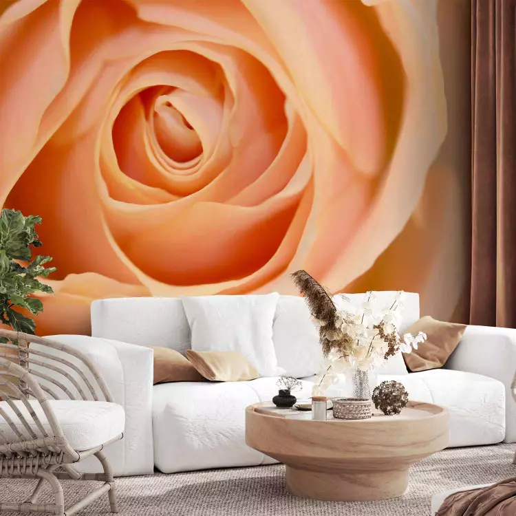 Fotomural decorativo Rosa melocotón - motivo floral con rosa en el centro