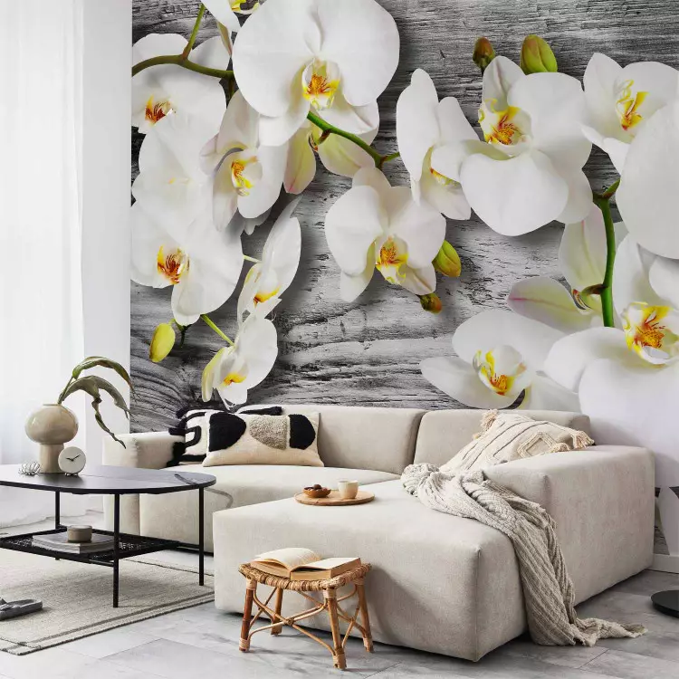 Fotomural Orquídeas frías - flores en madera gris