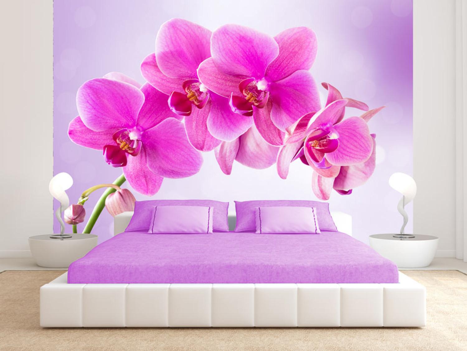 Fotomural decorativo Reflexión - orquídeas rosas en fondo morado