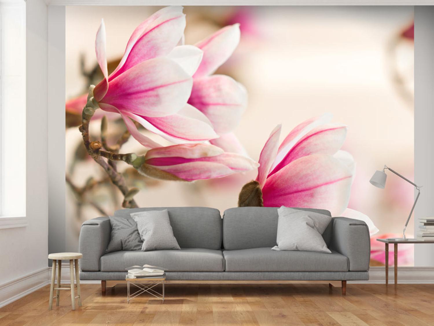 Fotomural a medida Flores de magnolia - motivo floral en fondo claro y delicado