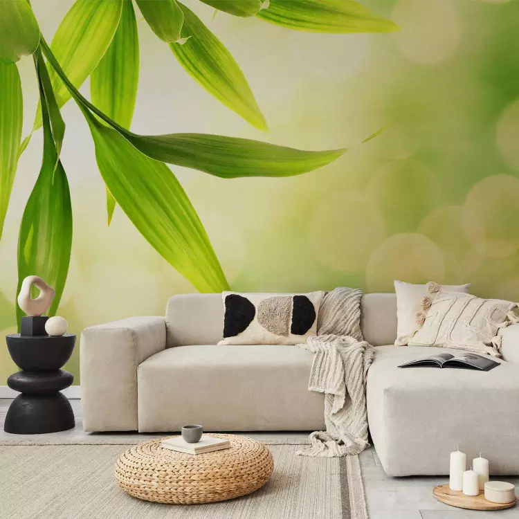 Fotomural decorativo Hojas de bambú verde - acercamiento natural a plantas en fondo claro