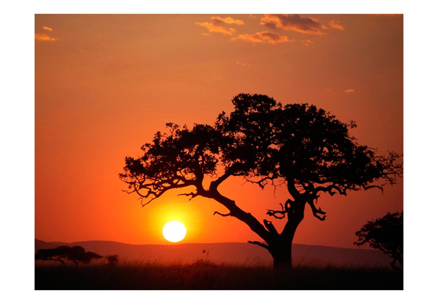 Fotomural África: puesta del sol