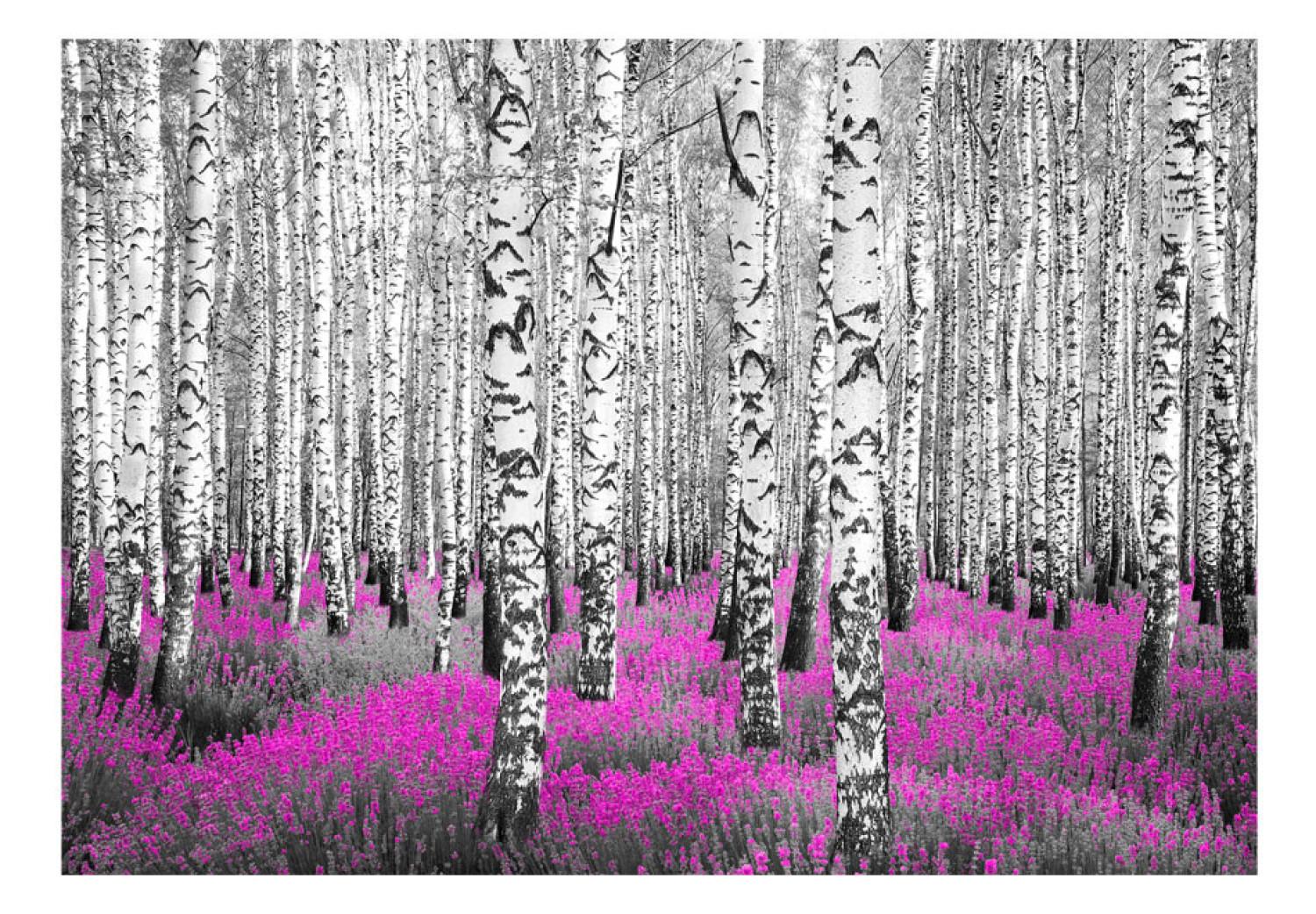 Fotomural decorativo Asilo rubí - paisaje abstracto de bosque con árbol de abedul