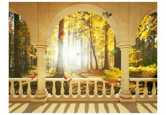 Fotomural decorativo Espacio - paisaje desde ventana con árboles y hojas cayendo