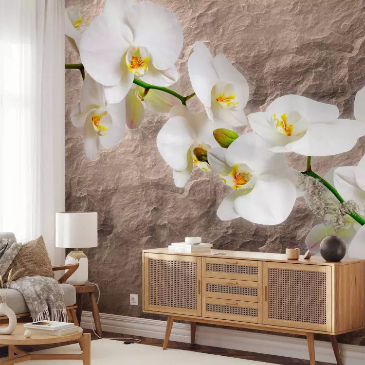 Fotomural a medida Flores de orquídea - flores blancas en fondo gris texturizado