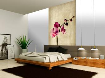 Fotomural decorativo Orchid, strength and subtlety