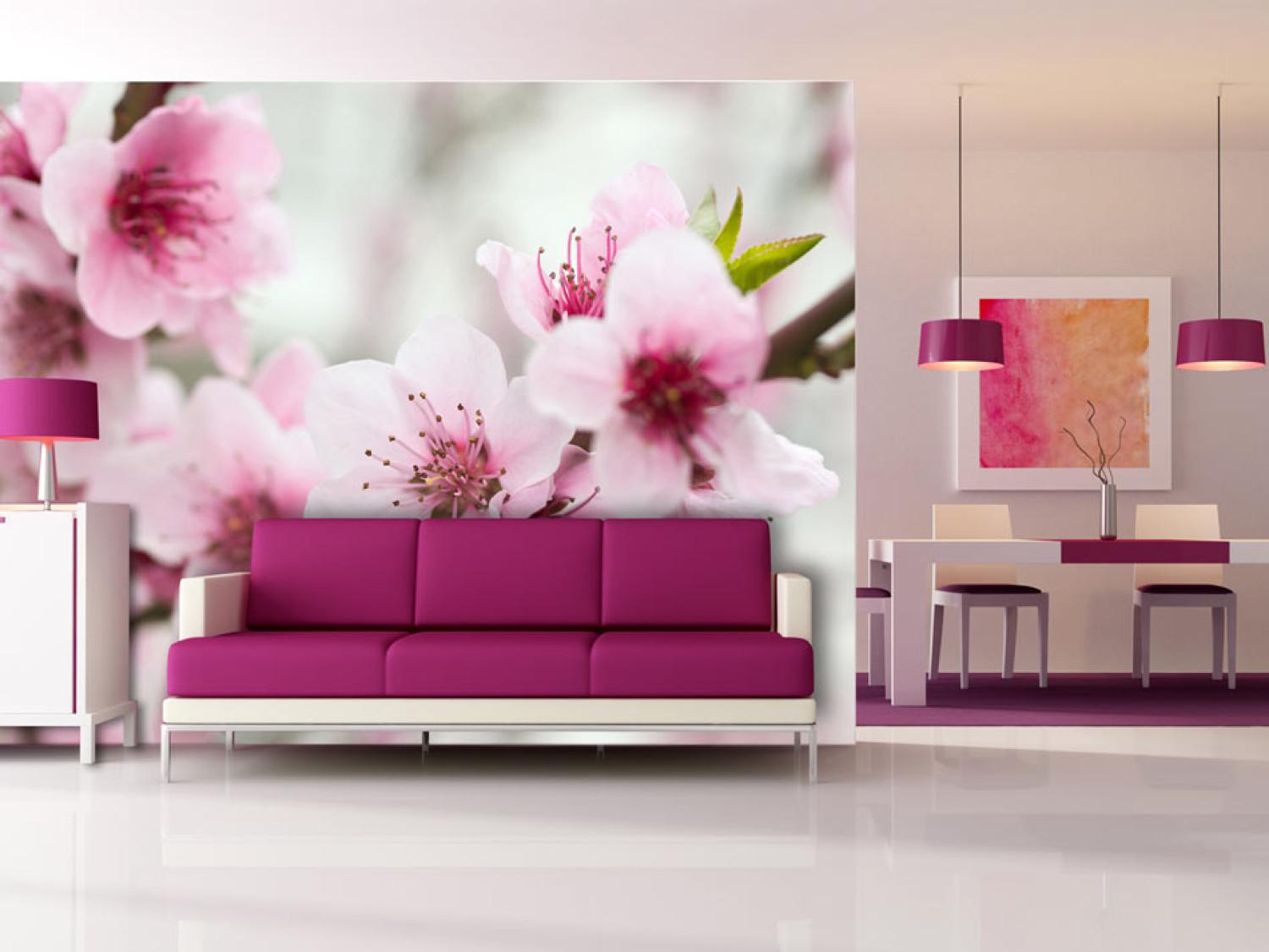 Fotomural decorativo Cerezo floreciente, florecitos rosa
