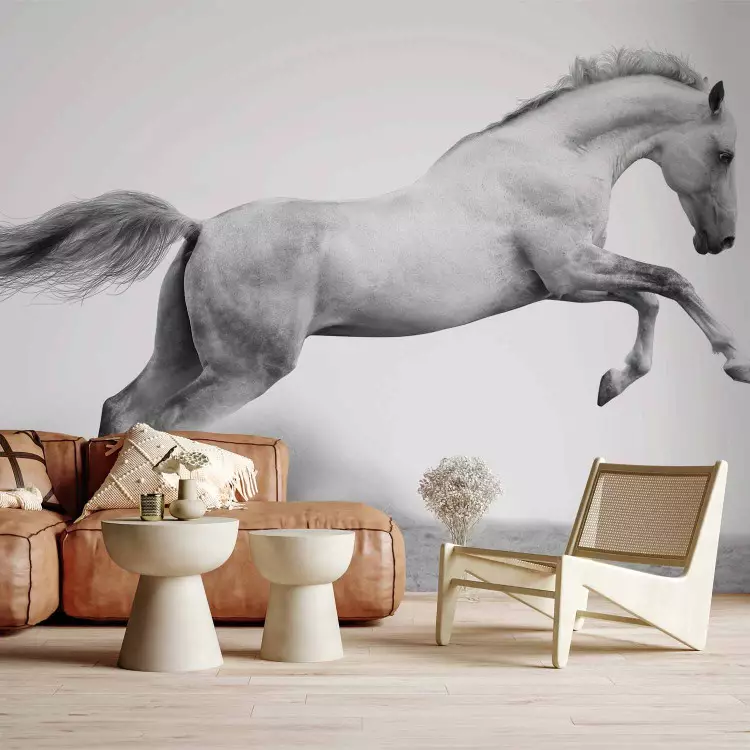 Fotomural decorativo White gallop
