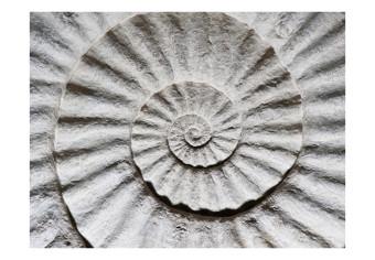 Fotomural decorativo Ammonite de piedra - tema abstracto de concha de mar de blanco y gris