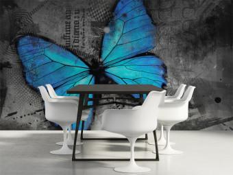 Fotomural Belleza de la mariposa - mariposa azul en fondo grafito con prensa