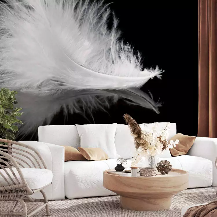Fotomural decorativo White feather