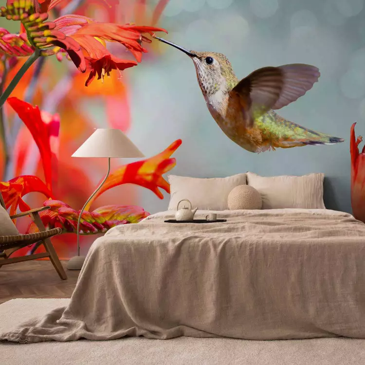 Fotomural decorativo Vuelo del colibrí - colibrí consumiendo néctar de flor roja