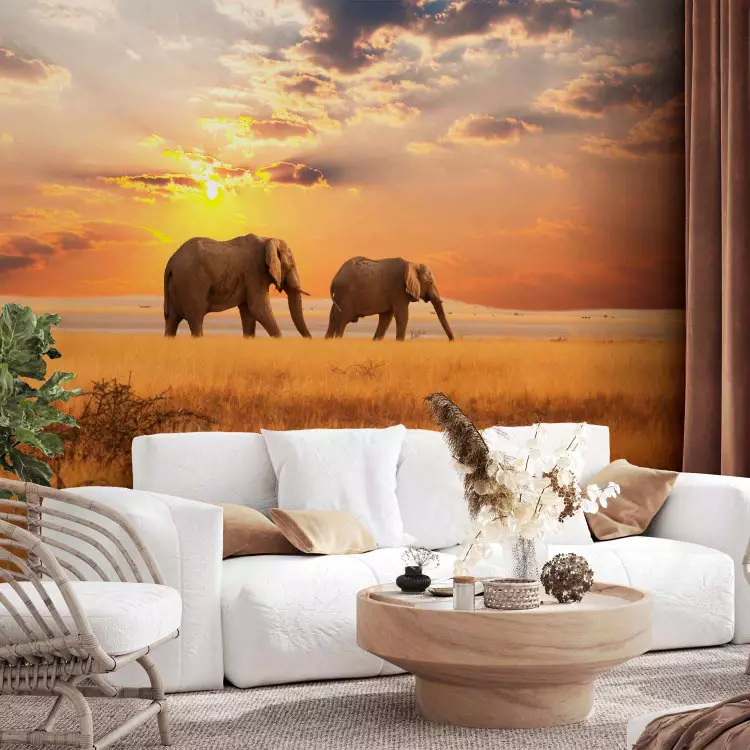 Fotomural decorativo Elefantes africanos en sabana
