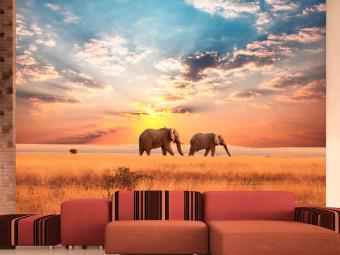 Fotomural decorativo Elefantes africanos en sabana