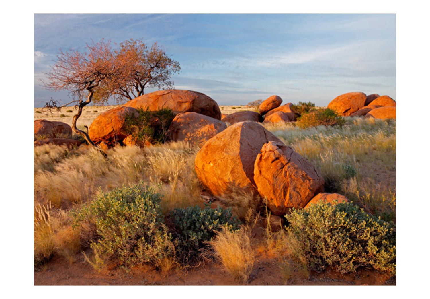 Fotomural a medida Paisaje africano en Namibia - naturaleza de la sabana con piedras