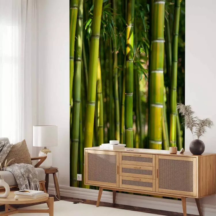 Fotomural a medida Oriente - motivo de bosque con bambús al sol y fondo desenfocado