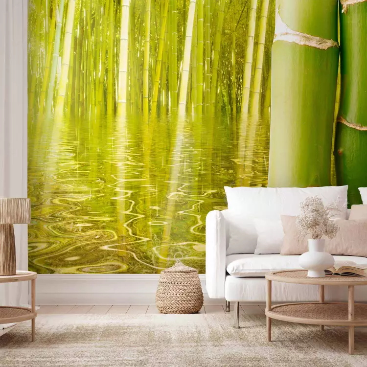 Fotomural a medida Oriente - escena de naturaleza asiática con bambús sobre el agua
