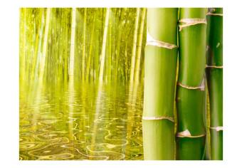 Fotomural a medida Oriente - escena de naturaleza asiática con bambús sobre el agua