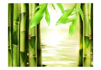 Fotomural Oriente - motivo de plantas asiáticas con bambús junto al agua