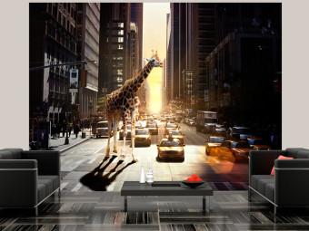 Fotomural Nueva York - motivo animal con jirafa y arquitectura urbana