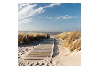 Fotomural a medida Langeoog - Playa de arena del Mar del Norte bajo el cielo azul
