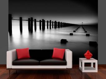 Fotomural decorativo Támesis e Inglaterra - Paisaje en blanco y negro con agua y columnas