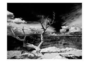 Fotomural a medida Gran Cañón - Paisaje en blanco y negro con un solo árbol en el centro