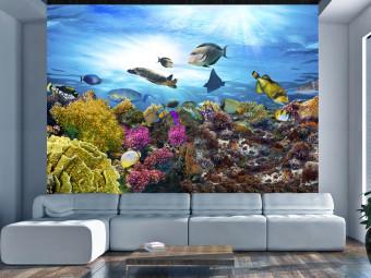 Fotomural decorativo Coral reef