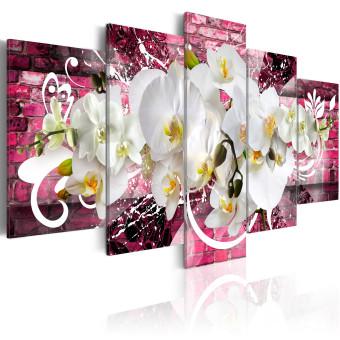 Cuadro moderno Impresiones sobre las orquídeas